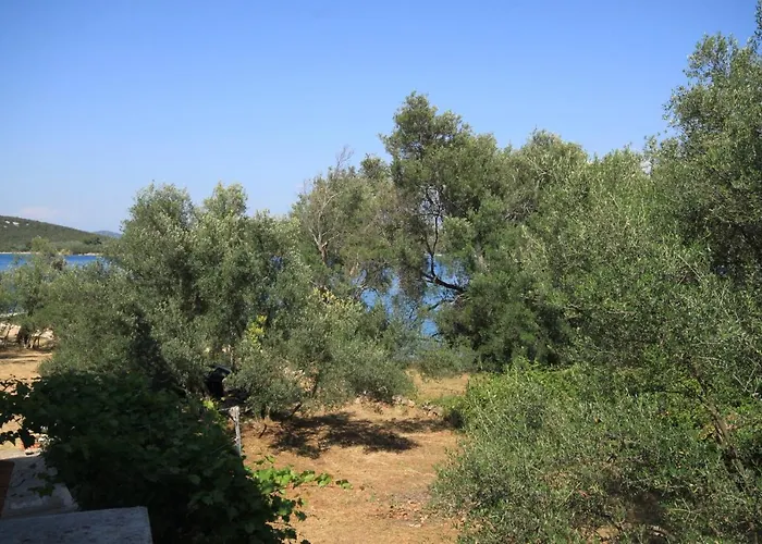 By The Sea - Dugi Otok - 8151