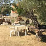 Appartement By The Sea - Dugi Otok - 8151