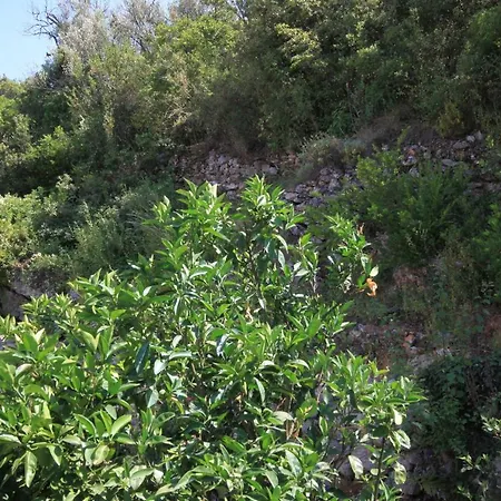 By The Sea - Dugi Otok - 8151 דירה *